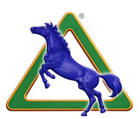 RHR & Company - Premium Tile Bond Manufacturer Logo